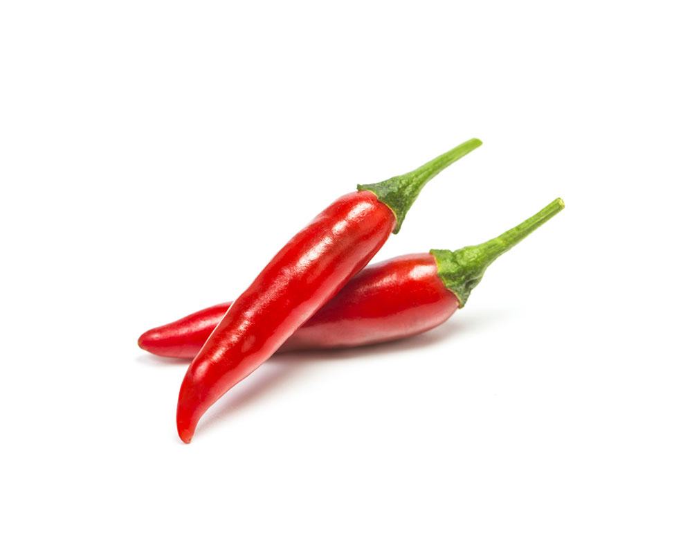 Chilli pepper